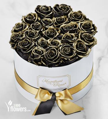 1-800-Flowers.com Magnificent Roses® Preserved Gold Kissed Black Roses