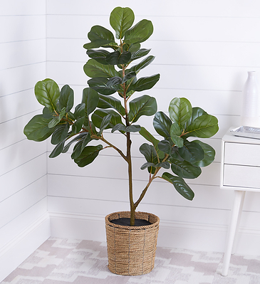 1-800-Flowers.com Faux Fiddle Leaf Fig Tree (PRNewsfoto/1-800-Flowers.com)