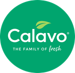 Primary Logo