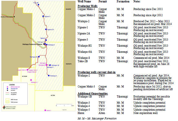 If you cannot view the image above or would like to view an enhanced version of NZEC's Production & Development Wells, please visit:&nbsp;&nbsp;http://orders.newsfilecorp.com/files/2648/12362_nz.htm4.jpg