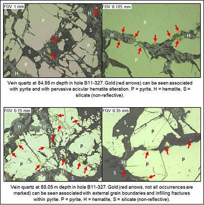 Figure 2: Photomicrographs (reflected PPL) of polished thin sections from historical drill core prepared from the Box Deposit high grade core. (CNW Group/Fortune Bay Corp.)