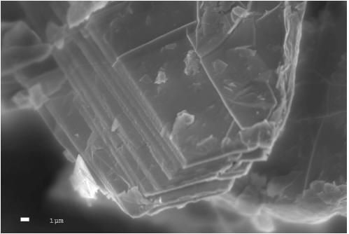 To view an enhanced version of image 1 of the Lomiko Flake Graphite samples under magnification reveal crystalline structure, please visit:  http://orders.newsfilecorp.com/files/1944/16491_lomiko2.jpg