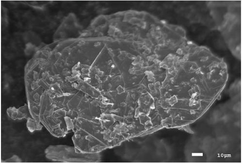 To view an enhanced version of image 2 of the Lomiko Flake Graphite samples under magnification reveal crystalline structure, please visit: http://orders.newsfilecorp.com/files/1944/16491_lomiko4.jpg