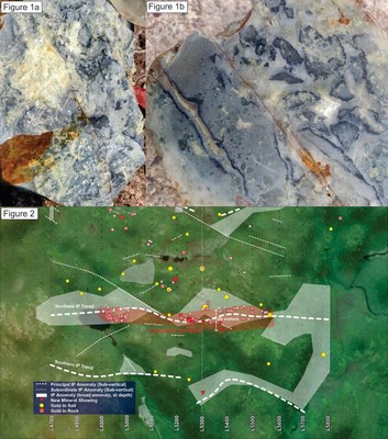 Figure 1. Completely silicified mafic volcanic rock containing disseminated sulphides that has subsequently hydrothermally brecciated. Note the ginguro-like rind to some of the fragments. 
Figure 2. Compilation map of the Conquest Zone, summarizing preliminary IP results overlain with gold-bearing rock samples (red squares) and gold anomalous soil samples (yellow circles). The location of the newly discovered mineralized outcrops are shown in inverted triangles. (CNW Group/Northern Shield Resources Inc.)