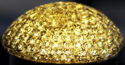CollPlant's 3D bioprinted regenerative breast implants advancing into porcine study. Photo by Valerie Arad