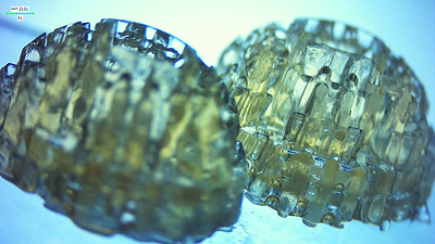 3D Bioprinted breast implants produced by CollPlant and currently used in preclinical studies