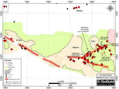 Drill plan map showing the Salomon-Favor target, including surface sampling details (CNW Group/GoGold Resources Inc.)