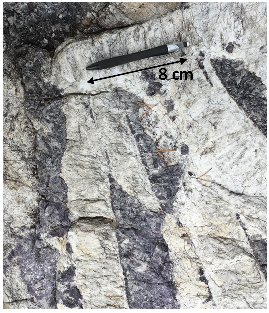 Figure 5:  Spodumene - Lepidolite Zone, Silverleaf Pegmatite, Lithium One Project
