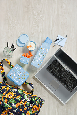 Tupperware + Vera Bradley - Falling Daisies Collection