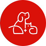 LRSV Logo.png