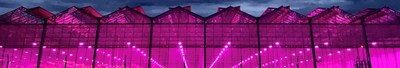 Copperstate Farms Facility in Snowflake, AZ (CNW Group/Australis Capital Inc.)