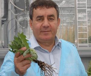 Dr. Yury Martirosian