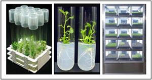CEG Inc. Digital Plant Cloning Incubator