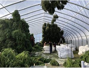 Greenhouse space