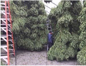Crop Drying