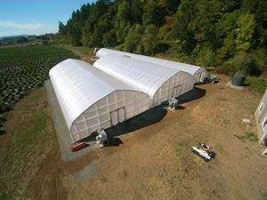MARIJUANA COMPANY OF AMERICA CBD HEMP OPERATION IN SCIO, OREGON