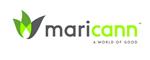 Primary Logo