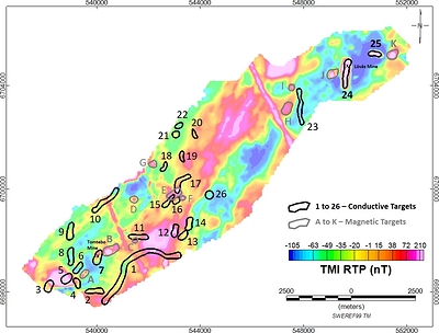 Figure 1: SkyTEM Conductive and Magnetic Targets on the Tomtebo Property (CNW Group/District Metals Corp.)