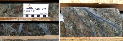 Mineralized drill core from hole S20-219. Left, 425 metres depth, biotite hornfels with disseminated and fracture-controlled pyrite-chalcopyrite-pyrrhotite cut by quartz-chalcopyrite-molybdenite veins. Right, 430 metres depth, mineralized zone cut by quartz-molybdenite-chalcopyrite veins. (CNW Group/Surge Copper Corp.)