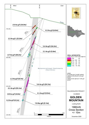 Figure 1.0 Golden Mountain Drill Hole Section 1980N and Mineralisation (CNW Group/Fosterville South Exploration Ltd.)