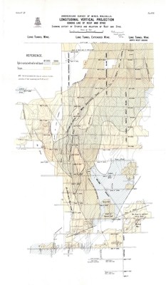 Figure 1 Cohen's Reef Longitudinal Section (CNW Group/Fosterville South Exploration Ltd.)