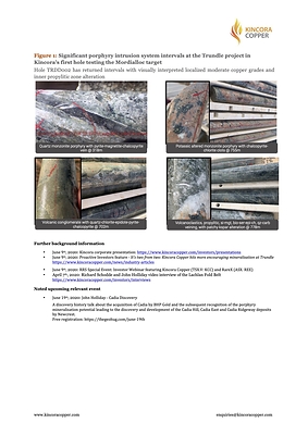 Figure 1: Significant porphyry intrusion system intervals at the Trundle project in Kincora’s first hole testing the Mordialloc target 
Hole TRDD002 has returned intervals with visually interpreted localized moderate copper grades and inner propylitic zone alteration (CNW Group/Kincora Copper Limited)