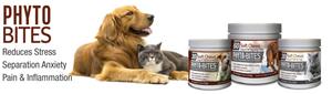 PhytoBites