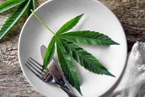 Cannabis Companies set to Rule the edibles Market in 2019