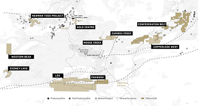 Figure 1 Trillium Gold Properties throughout the Red Lake District (CNW Group/Trillium Gold Mines Inc.)
