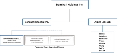 This organization chart illustrates our current structure, where the shaded entities denote plans for future growth.