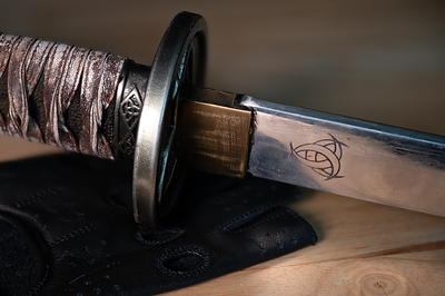 Michonne's Katana and Gloves
