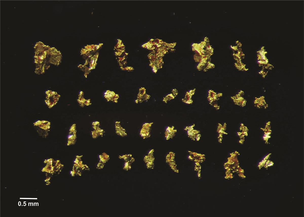 A group of gold nuggets  Description automatically generated