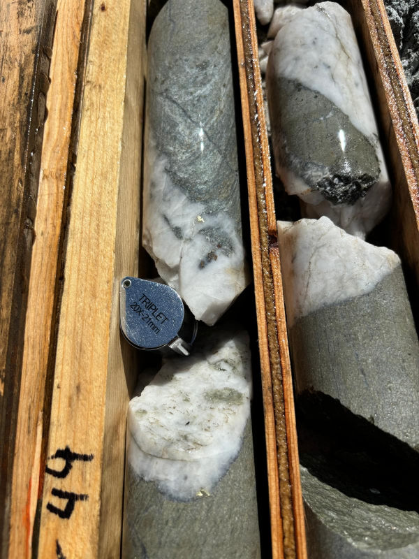 Figure 3: Example of visible gold intersected in
QGQ24-14.