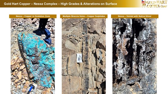 Cannot view this image? Visit: https://images.newsfilecorp.com/files/10786/288658_gold%20hart%20-%20nessa%20expansion%20-%20high%20grades%20on%20surface%20-%208_550.jpg