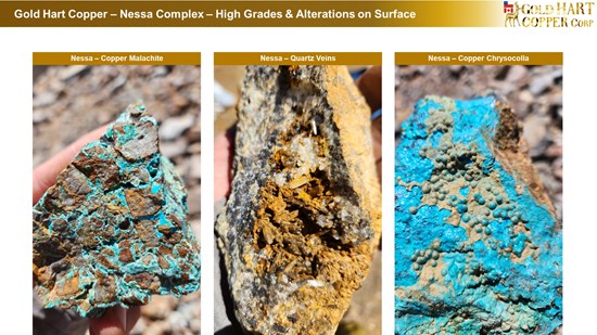Cannot view this image? Visit: https://images.newsfilecorp.com/files/10786/288658_gold%20hart%20-%20nessa%20-%20high%20grades%20copper%20gold%20surface%20-%207_550.jpg