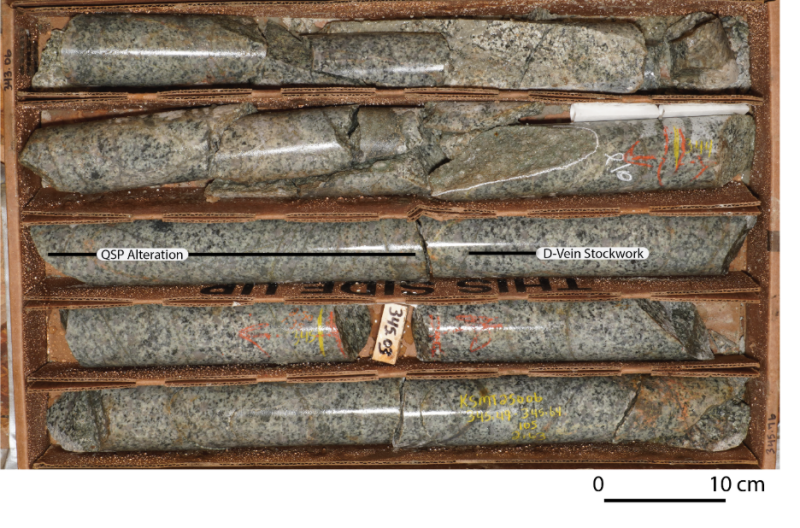 Figure 3: &nbsp;KSMT25006 Intrusive
Mineralization at Depth of 345.03m – Molybdenite & Chalcopyrite
with QSP Alteration & D-Vein Stockwork