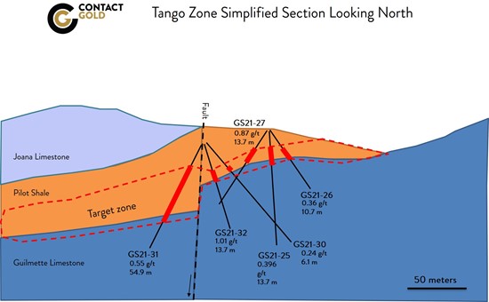 Cannot view this image? Visit: https://orders.newsfilecorp.com/files/5350/87554_Tango%20Section%2031%2032_550.jpg