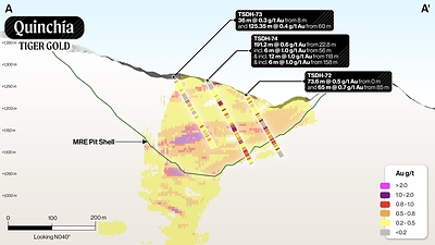 Figure 2: Tesorito Section A-A’ (looking N040°) (CNW Group/Tiger Gold Corp.)