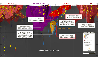 Figure 8: 3D longitudinal section, +/-50m (looking west) (CNW Group/New Found Gold Corp.)