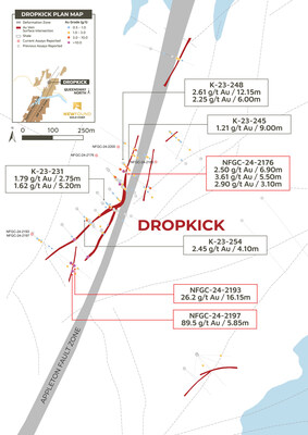 Figure 3: Dropkick Zone plan view map (CNW Group/New Found Gold Corp.)