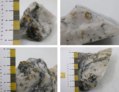 Figure 1. Photos of mineralization from KM-24-01-64 - ^Note that these photos are not intended to be representative of gold mineralization in KM-24-01-64 (CNW Group/New Found Gold Corp.)