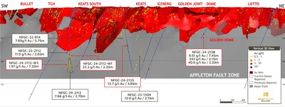 Figure 4: Bullet to Lotto vertical 3D view of the east side of the AFZ (looking northwest) (CNW Group/New Found Gold Corp.)