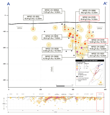 Figure 6: Honeypot longitudinal section (looking north) (CNW Group/New Found Gold Corp.)
