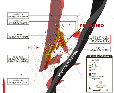 Figure 3: Big Vein and Pistachio zones 3D inclined view (CNW Group/New Found Gold Corp.)