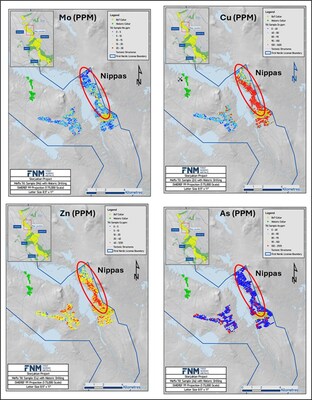 Figure 2: Map of Nippas Target area within the Storjuctan project showing regional till sampling geochemical results (CNW Group/First Nordic Metals Corp.)