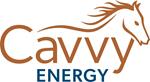 Primary Logo