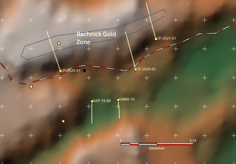 Figure 1: Bachnick gold prospect,
showing historic samples with gold results.