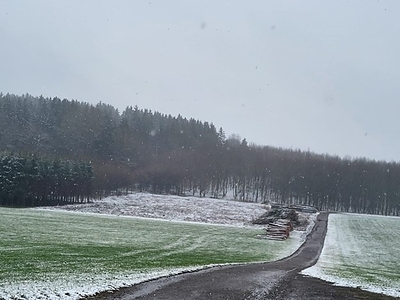 Image 2: Kinsau-1A drill site on the Lech concession block, cleared of trees and ready for drillsite construction (CNW Group/MCF Energy Ltd.)