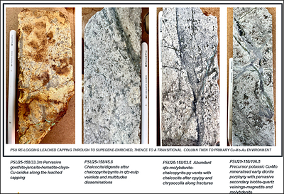 PHOTOGRAPH 1. Representative spectrum of domains from shallow leached capping through to supergene-enriched domain thence down-dip to a potassic-altered diorite porphyry hosting porphyry Cu-Mo-Au mineralization. (CNW Group/Minsud Resources Corp.)