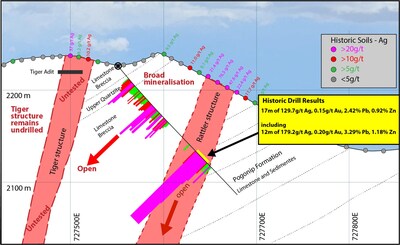 Figure 2. Drill section looking north showing significant grades intercepted in 15RHR03 (image modified from Carnavale Resources Ltd. 2015 news release). The untested Tiger Zone target is shown immediately west of Rattler. (CNW Group/Stuhini Exploration Ltd.)